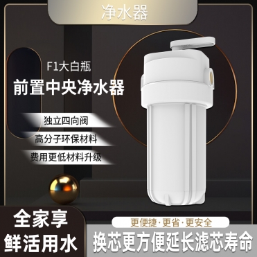 华迈F1反冲洗大胖前置过滤器